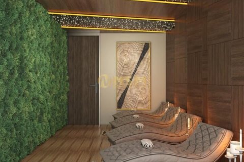 Daire  1+1  Alanya, Antalya, Türkiye №179764 - 28