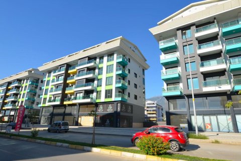 آپارتمان در Kargicak،  Alanya ، ترکیه 55 متر مربع.  شماره 166212