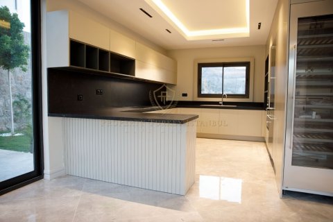 6+1 Villa i Turkbuku, Mugla, Tyrkia Nr. 178159 - 5