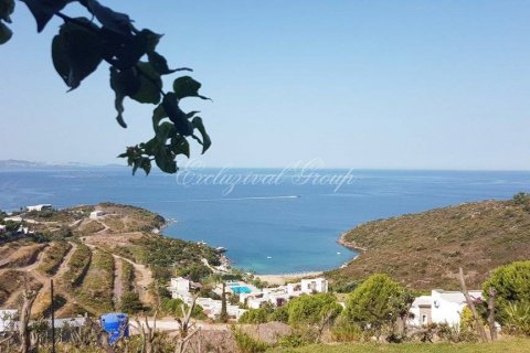 ویلا در Bodrum ، ترکیه 3 خوابه ، 156 متر مربع. شماره 178946 - 14