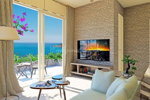 ویلا در Bodrum ، ترکیه 3 خوابه ، 156 متر مربع. شماره 178946 - 27