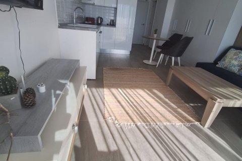 Lägenhet  i Bafra, Samsun, Turkiet Nr. 210953 - 10