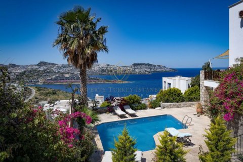 6+1 Villa in Bodrum, Mugla, Türkei Nr. 171656 - 23