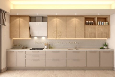 3+1 Apartment in Istanbul, Turkey No. 160859