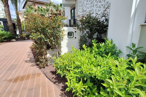 1+1 Lägenhet i Alanya, Antalya, Turkiet Nr. 167548 - 27