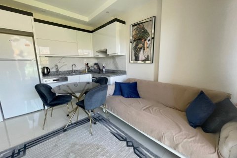 1+1 Wohnung  in Alanya, Antalya, Türkei Nr. 185857 - 14