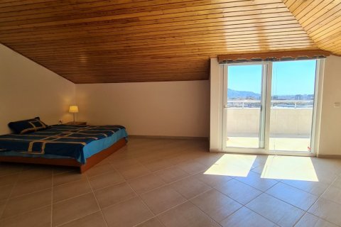 Penthäuser  in Alanya, Antalya, Türkei Nr. 159966 - 17