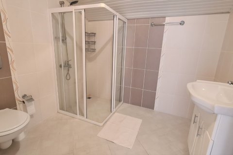 Penthäuser  in Alanya, Antalya, Türkei Nr. 159966 - 23