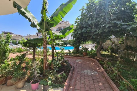 Penthäuser  in Alanya, Antalya, Türkei Nr. 159966 - 2