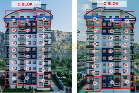 1+1 Wohnung  in Alanya, Antalya, Türkei Nr. 179677 - 3