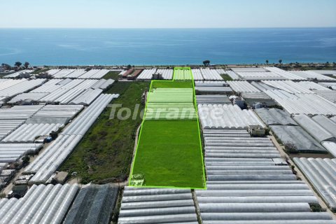 Land plot for sale  in Antalya, Turkey, No. 178108 – photo 3