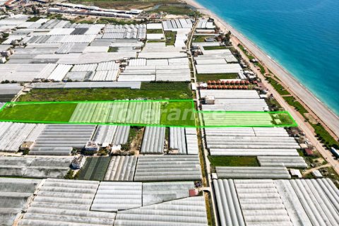 Land plot for sale  in Antalya, Turkey, No. 178108 – photo 5