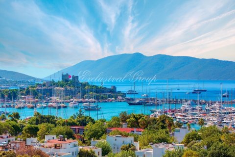 1+0 Wohnung  in Bodrum, Mugla, Türkei Nr. 179266 - 17