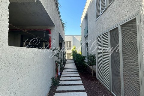 1+0 Wohnung  in Bodrum, Mugla, Türkei Nr. 179266 - 16