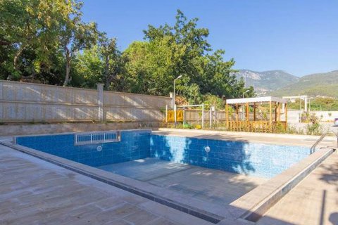 2+1 Leilighet i Alanya, Antalya, Tyrkia Nr. 174967 - 3