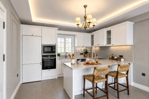 5+1 Villa i Milas, Mugla, Tyrkiet Nr. 175912 - 16