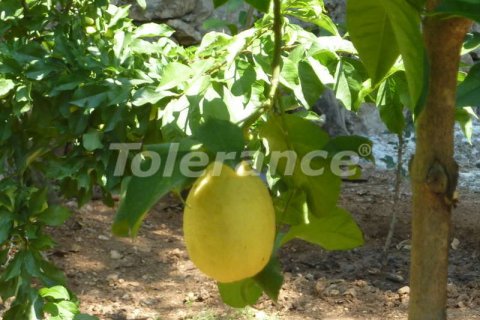 2+1 Villa i Kemer, Antalya, Tyrkiet Nr. 161145 - 14
