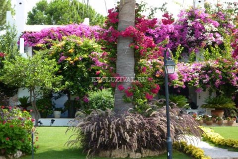 4+1 Villa i Bodrum, Mugla, Tyrkia Nr. 178591 - 12