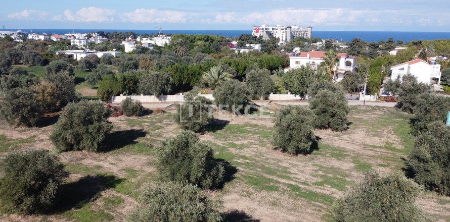 Arsa Girne, №161303