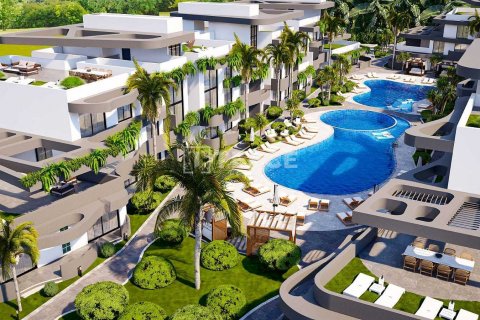 1+2 Penthouse i Famagusta, Nr. 161307 - 3