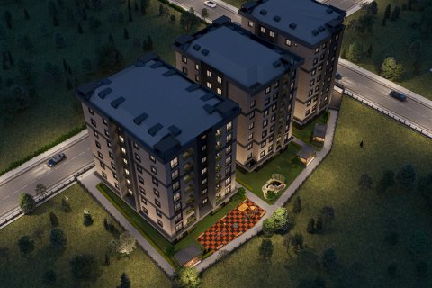4+2 Wohnung in Istanbul, Türkei Nr. 173426 - 6