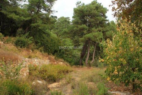 4+2 Villa i Gökova, Mugla, Tyrkia Nr. 178490 - 5