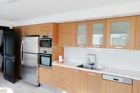 7+2 Villa in Bodrum, Mugla, Türkei Nr. 179001 - 19