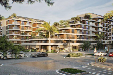 Citrus  i Antalya, Tyrkiet Nr.184273