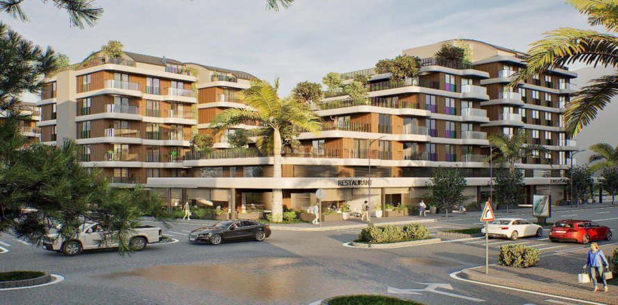 Citrus i Antalya, Tyrkia Nr.184273