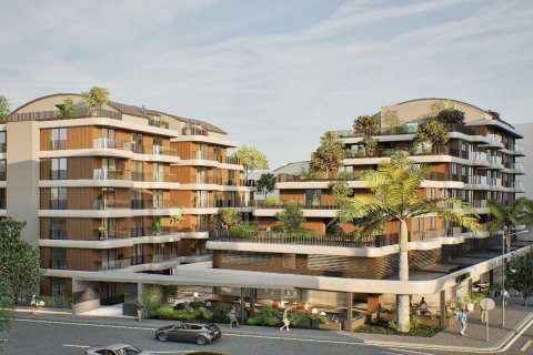 Citrus i Antalya, Tyrkia Nr.184273 - 3