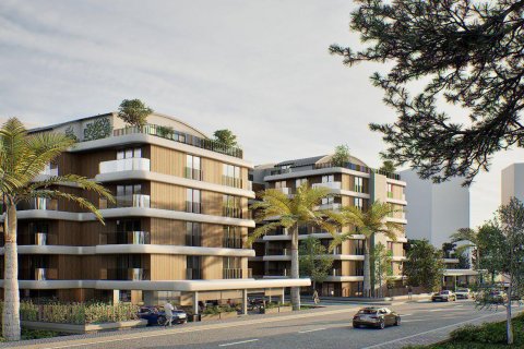 Citrus i Antalya, Tyrkia Nr.184273 - 4