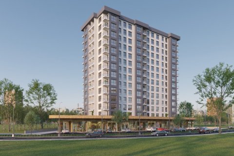 2+1 Wohnung  in Istanbul, Türkei Nr. 172901