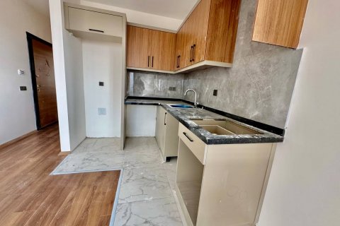 Продажа квартиры  в Аланье, Анталье, Турция 2 комн., 50м2, №182173 – фото 29