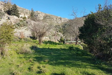 زمین در  Bodrum ، ترکیه 660 متر مربع.  شماره 178973 - 5