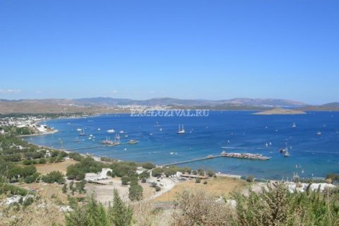 Land plot  in Bodrum, Mugla, Turkey No. 178933