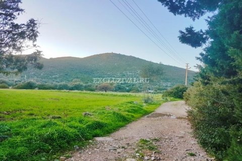 Land plot  in Bodrum, Mugla, Turkey No. 178937