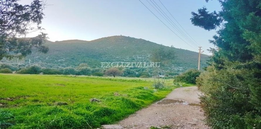 زمین در  Bodrum ، ترکیه 3500 متر مربع.  شماره 178937