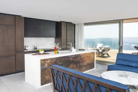 3+4 Villa  i Bodrum, Mugla, Tyrkia Nr. 179021 - 13