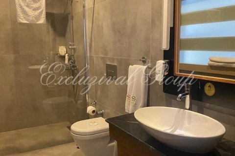 Gewerbeimmobilien in Fethiye, Mugla, Türkei Nr. 179200 - 7