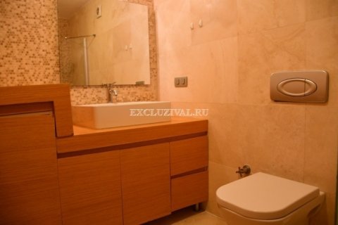 2+1 Wohnung in Bodrum, Mugla, Türkei Nr. 178814 - 16