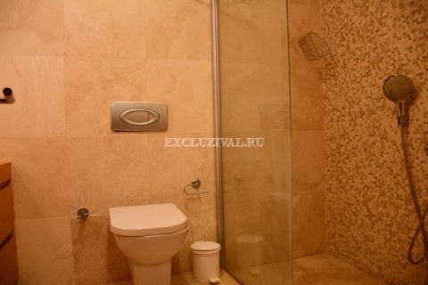 2+1 Wohnung in Bodrum, Mugla, Türkei Nr. 178814 - 15