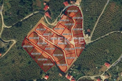 Villa for sale in Trabzon, Turkey, 4 bedrooms, 350m2, No. 188233 – photo 19