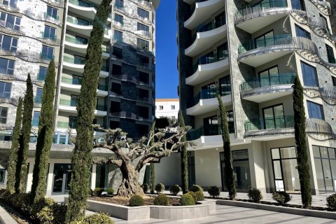 1000+0 Apartment  in Tosmur, Alanya, Antalya, Turkey No. 48827