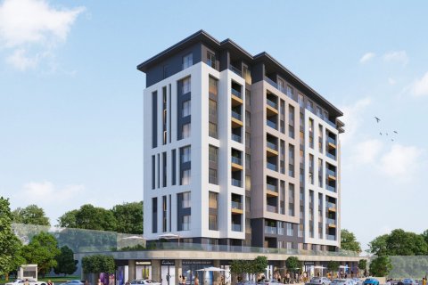 2+1 Wohnung in Istanbul, Türkei Nr. 173597 - 4