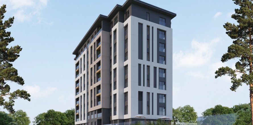 2+1 Wohnung in Istanbul, Türkei Nr. 173597