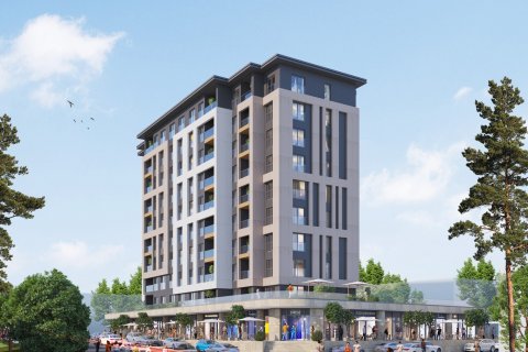 3+1 Lägenhet  i Istanbul, istanbul, Turkiet Nr. 173596 - 5