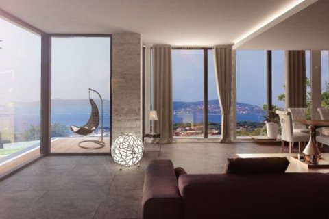 4+1 Leilighet i Istanbul, Tyrkia Nr. 173008 - 11