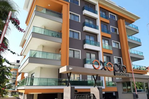 Wohnung  in Kestel, Antalya, Türkei Nr. 169956 - 17