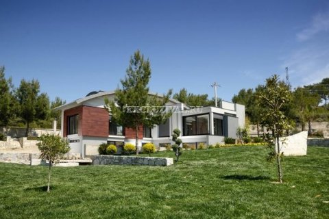 5+2 Villa  i Izmir, Tyrkia Nr. 178764 - 8