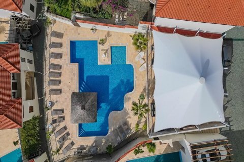 Продажа виллы в Аланье, Анталье, Турция 7 комн., 390м2, №165703 – фото 13